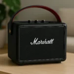 Marshall Bromley 450 Proves Smaller Party Speakers Can Still Dominate