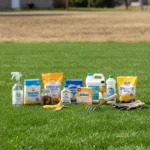 11 secrets to a lawn that's greener than your neighbor's — AI-generated illustration