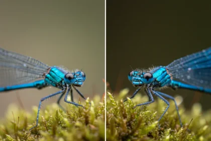 Samsung Galaxy A57 macro lens loses badly to S26 Ultra — AI-generated illustration