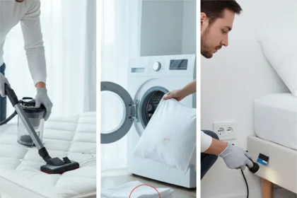 Weekly bed bug cleaning routine stops infestations before they spread — AI-generated illustration