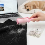 This $5 beauty hack removes pet hair from clothes fast