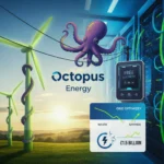 Octopus Energy free electricity scheme tackles UK grid waste