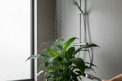 Stop Misting Your Peace Lily: The Shower Method Works Better